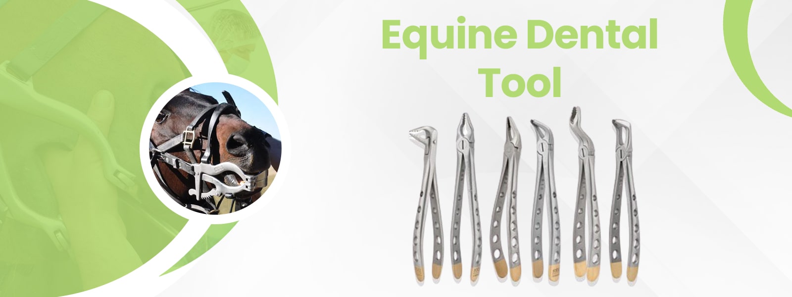 WM Corporation Veterinary & Surgical Tools