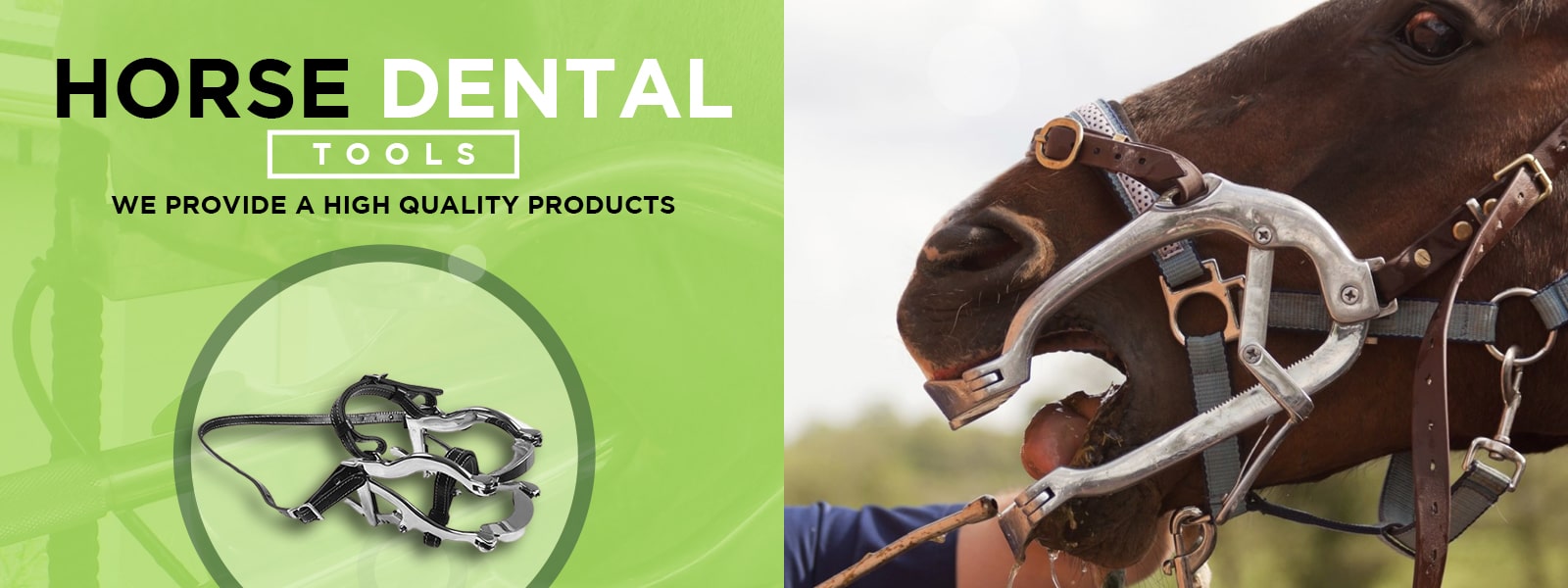 horse dental surgery banner