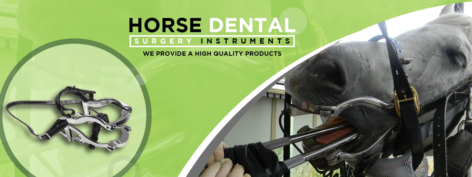 horse dental surgery banner-min